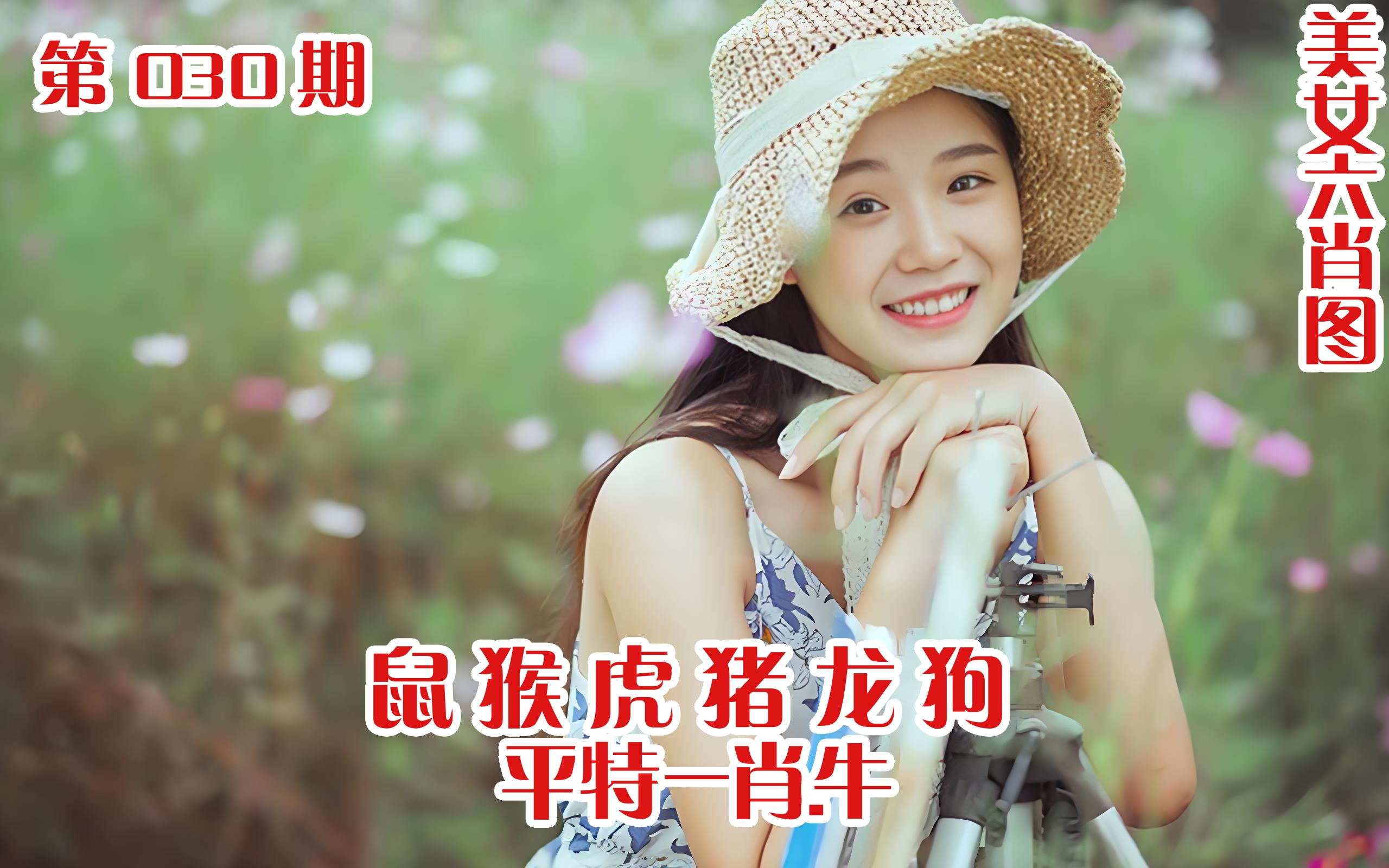 美女六肖 030期