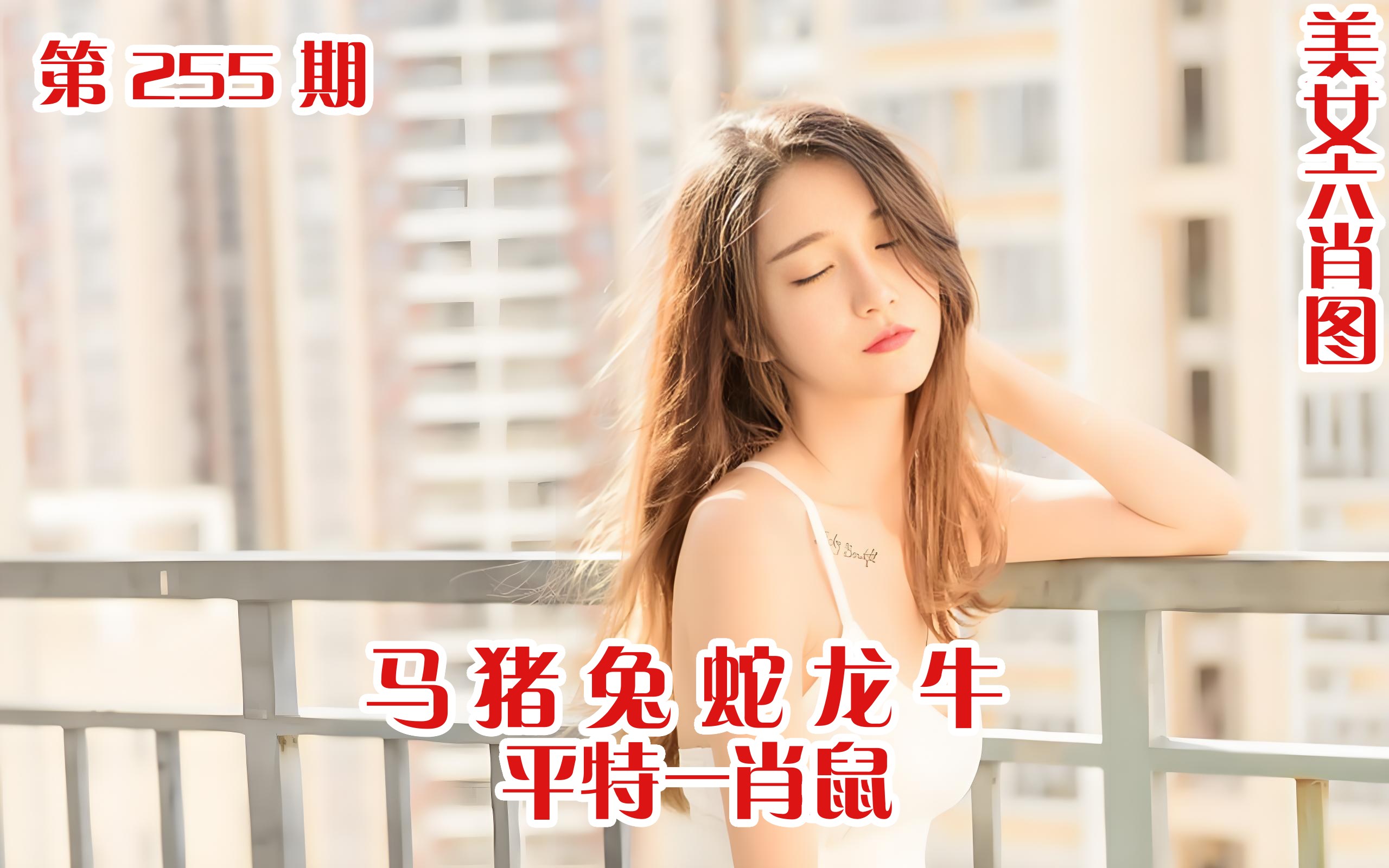 美女六肖 255期