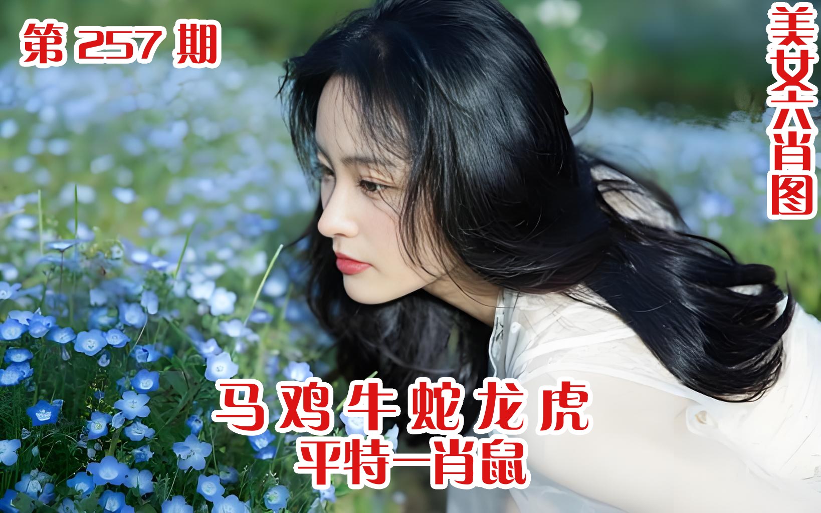 美女六肖 257期